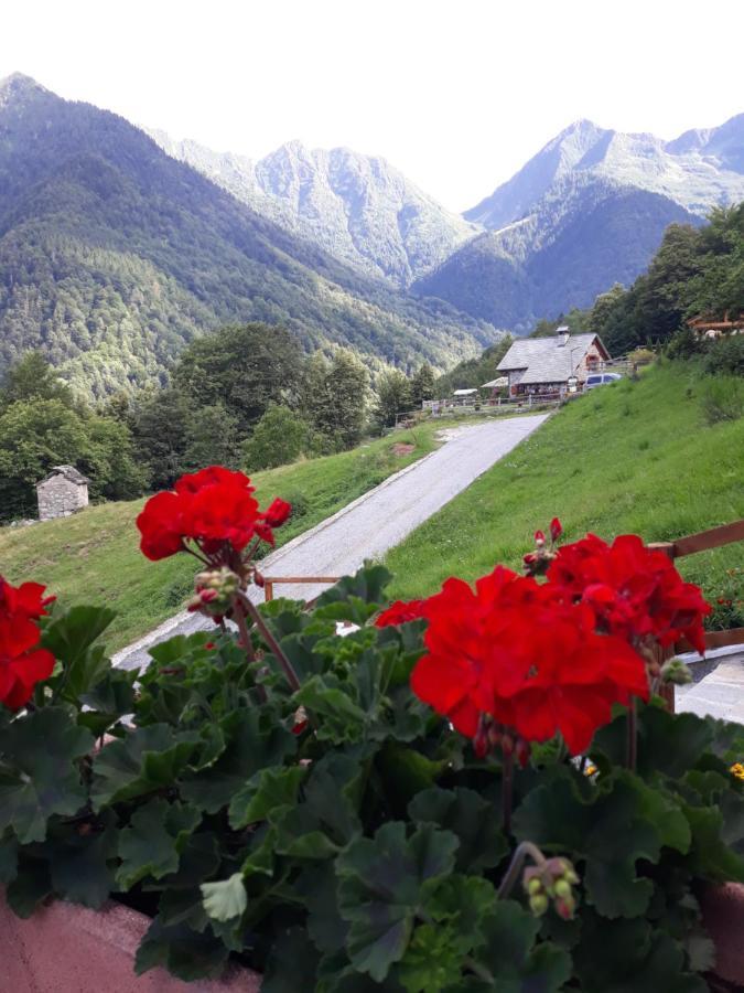 Casa All'Alpe Gaggetto B & B Anzino エクステリア 写真