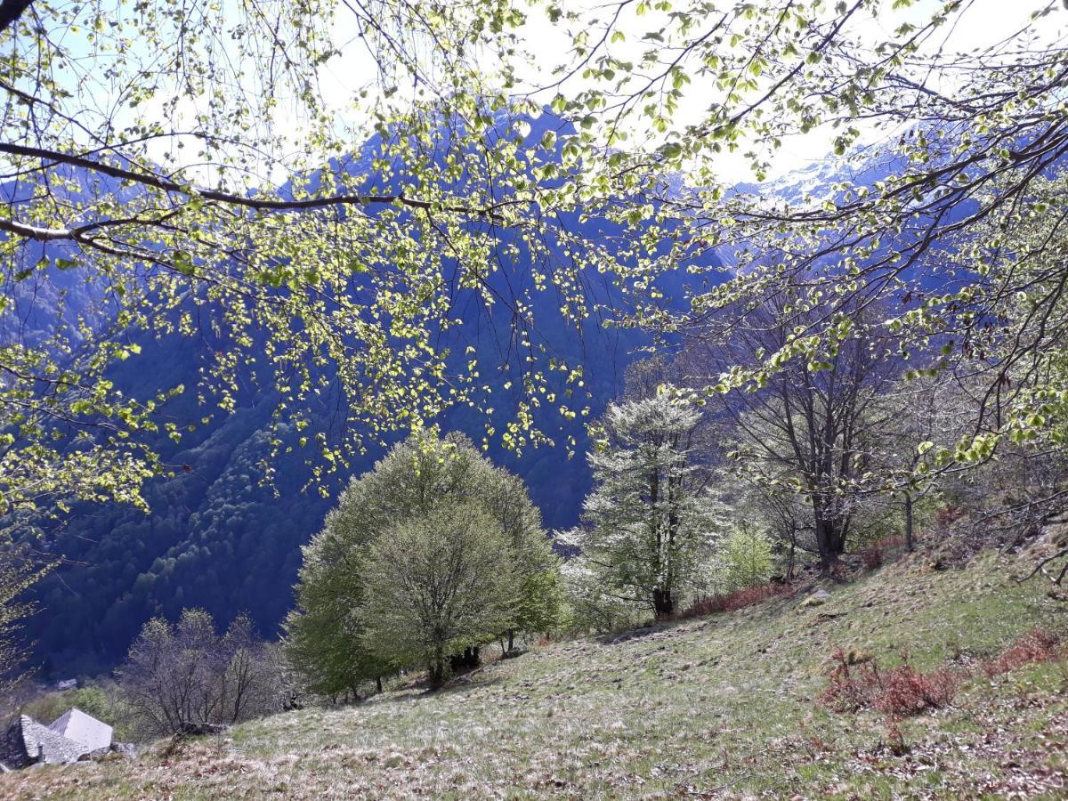 Casa All'Alpe Gaggetto B & B Anzino エクステリア 写真