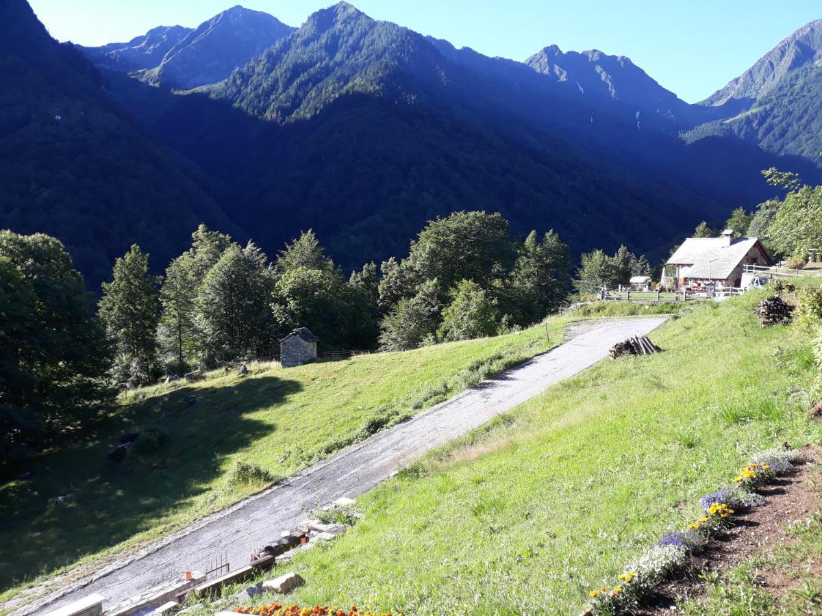 Casa All'Alpe Gaggetto B & B Anzino エクステリア 写真