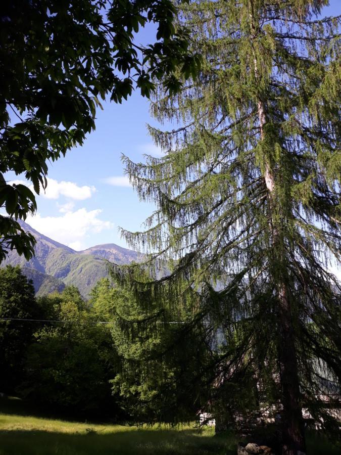 Casa All'Alpe Gaggetto B & B Anzino エクステリア 写真