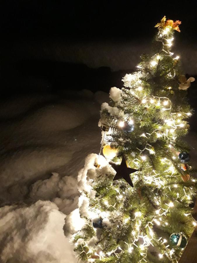 Casa All'Alpe Gaggetto B & B Anzino エクステリア 写真