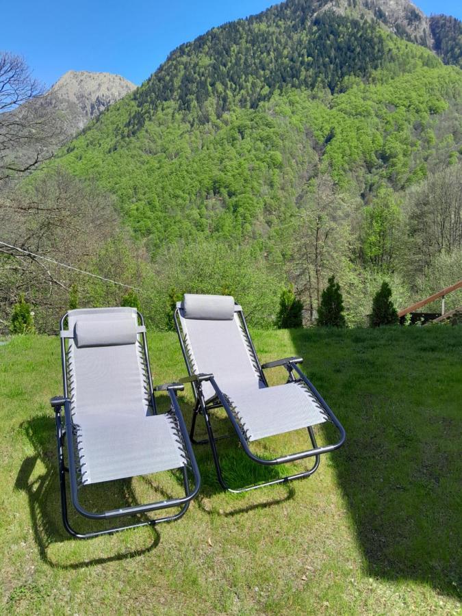 Casa All'Alpe Gaggetto B & B Anzino エクステリア 写真