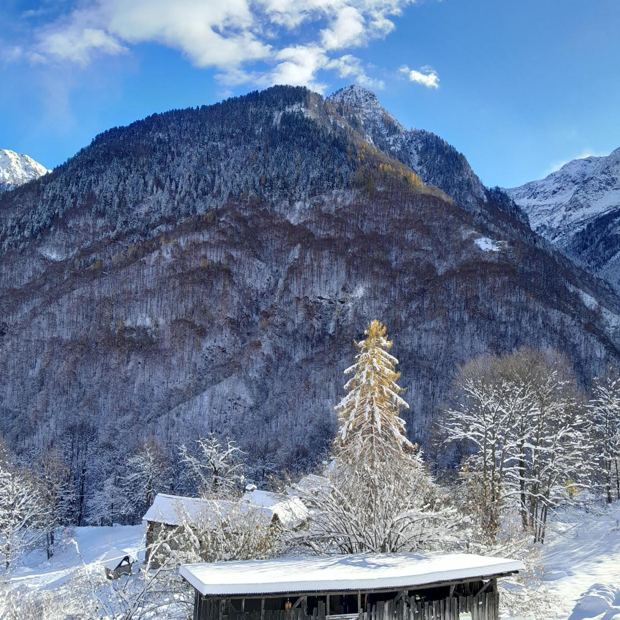 Casa All'Alpe Gaggetto B & B Anzino エクステリア 写真