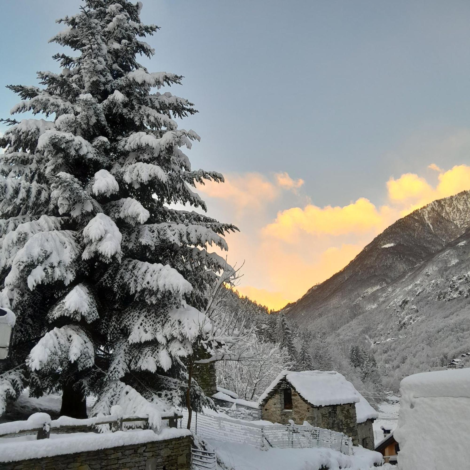Casa All'Alpe Gaggetto B & B Anzino エクステリア 写真